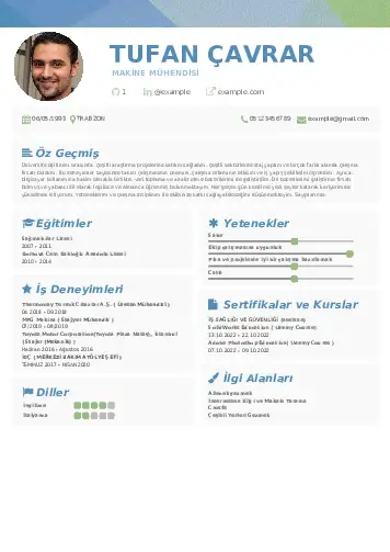 cv indir